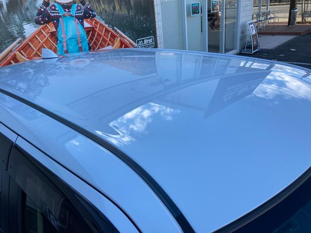 ライズ Z(45枚目)