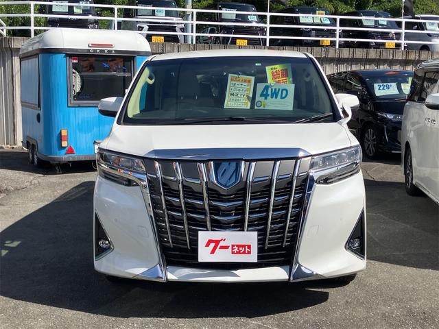 アルファードハイブリッド Ｇ　Ｆパッケージ　４ＷＤ　ドライブレコーダー　ＥＴＣ　バックカメラ　ＴＶ　クリアランスソナー　オートクルーズコントロール　レーンアシスト　衝突被害軽減システム　両側電動スライドドア　オートマチックハイビーム（13枚目）