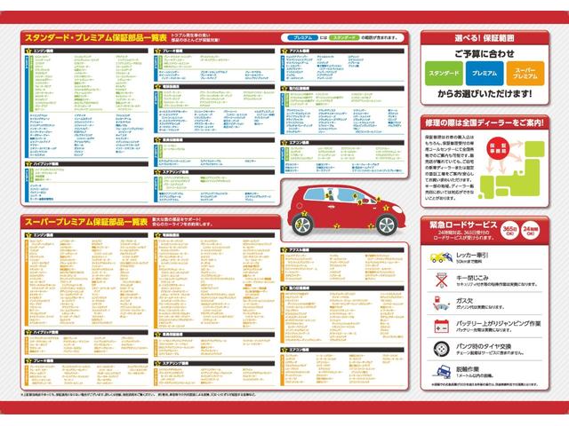カラーパッケージ パートタイム4WD クリアランスソナー 純正ナビ クルコン 社外マフラー 社外ステップ ソフトアップ ETC 社外17AW(49枚目)