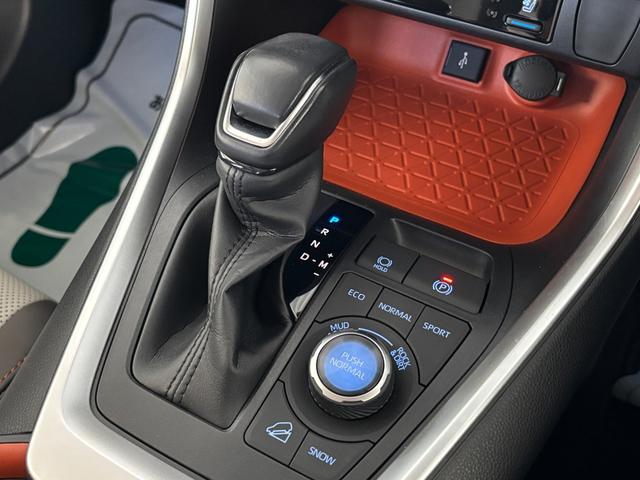 ＲＡＶ４ アドベンチャー　４ＷＤ　前後ドラレコ　ナビ付ディスプレイオーディオ　全周囲カメラ　ＥＴＣ２　パノラマルーフ　シートヒーター　ダウンヒルアシスト　クリアランスソナー　ＢＳＭ　レーンアシスト　パワーシート　ＬＥＤライト（15枚目）