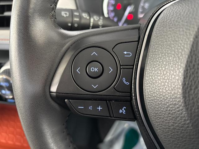 ＲＡＶ４ アドベンチャー　４ＷＤ　前後ドラレコ　ナビ付ディスプレイオーディオ　全周囲カメラ　ＥＴＣ２　パノラマルーフ　シートヒーター　ダウンヒルアシスト　クリアランスソナー　ＢＳＭ　レーンアシスト　パワーシート　ＬＥＤライト（19枚目）