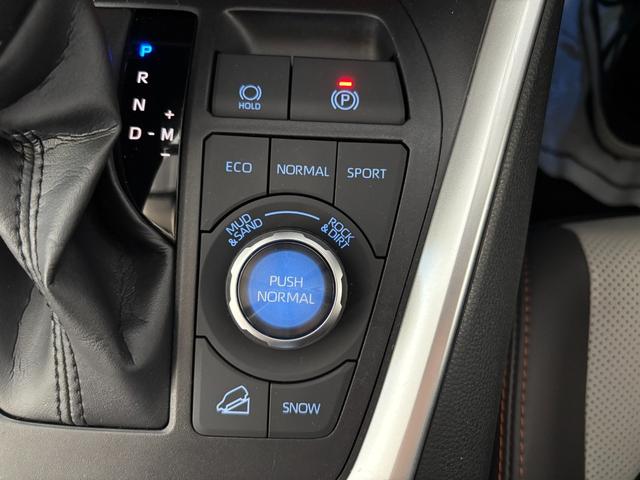 ＲＡＶ４ アドベンチャー　４ＷＤ　前後ドラレコ　ナビ付ディスプレイオーディオ　全周囲カメラ　ＥＴＣ２　パノラマルーフ　シートヒーター　ダウンヒルアシスト　クリアランスソナー　ＢＳＭ　レーンアシスト　パワーシート　ＬＥＤライト（26枚目）