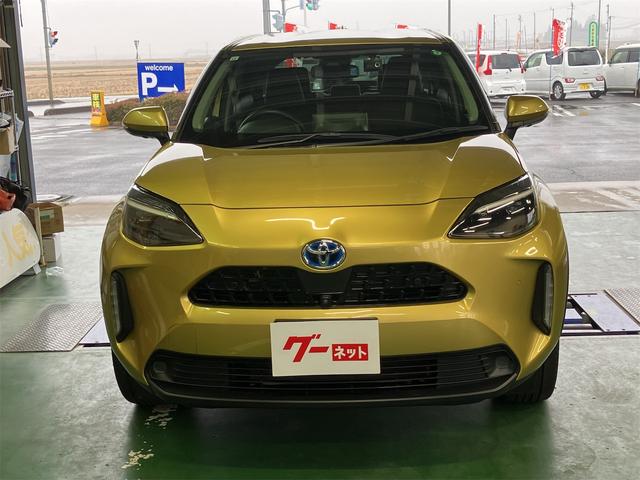 �݌Ɋm�F�ȂǂɊւ��ẮA���C�y�ɂ��₢���킹���������B