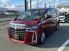 ����ե����ɥϥ��֥�å� �ӣҡ��åѥå����������ףġ������ӣĥʥӡ��ե륻�� 0900212A30251025W007 2