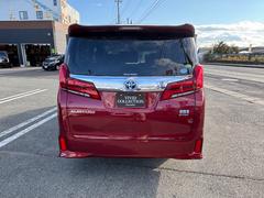 ����ե����ɥϥ��֥�å� �ӣҡ��åѥå����������ףġ������ӣĥʥӡ��ե륻�� 0900212A30251025W007 7