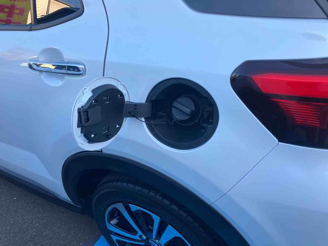 ロッキー Ｇ（8枚目）