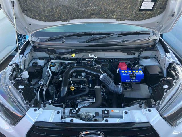 ロッキー Ｇ（10枚目）