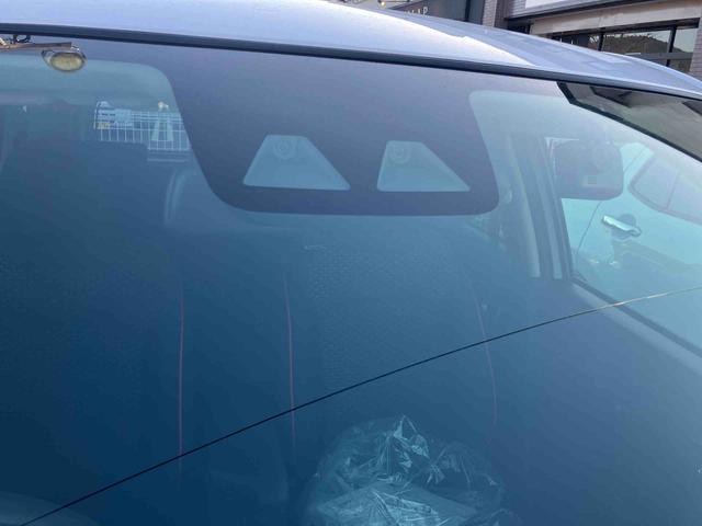 ロッキー Ｇ（11枚目）