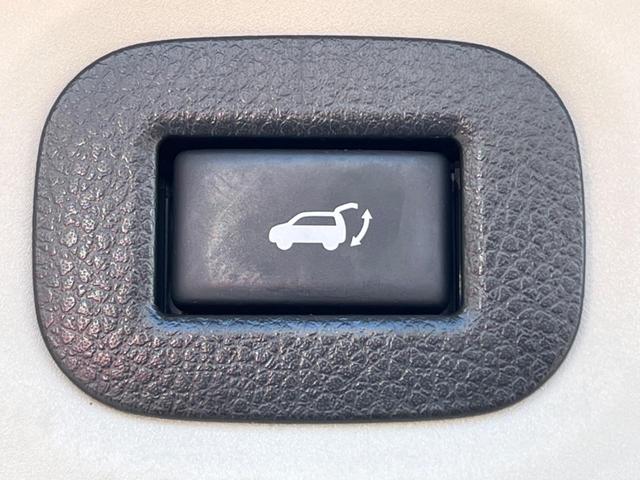 エクストレイル 20Xi ハイブリッド プロパイロット インテリジェントエマージェンシーブレーキ アラウンドビューモニター 純正ナビ Bluetooth接続 リモコンオートバックドア スマートキー LEDヘッドライト シルバールーフレール(55枚目)