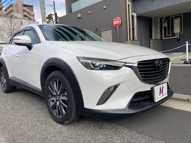 �e�Ѓ��[����舵���Ă���܂��A���C�y�ɂ����k���������I