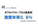 ハイブリッド　ダブルバイビー（47枚目）