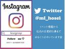 Ｓ　フロント・リアソナー　衝突被害軽減ブレーキ　ステアリングヒーター　クルーズコントロール　全席シートヒーター　オートライト　プッシュスタート　リアカメラ　ＥＴＣ　オートエアコン　ＬＥＤライト　横滑り防止（46枚目）