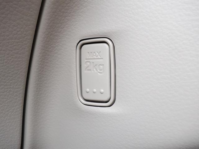 アルトラパンＬＣ ＬＣ　Ｘ　４型（32枚目）