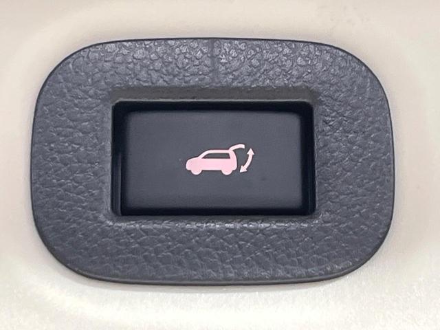 エクストレイル ２０Ｘｉ　４ＷＤ　禁煙車　プロパイロット　衝突軽減　１１インチナビ　全周囲カメラ　ドラレコ　デジタルインナーミラー　パワーバックドア　ＬＥＤヘッド　コーナーセンサー　革巻ハンドル　デュアルエアコン（39枚目）