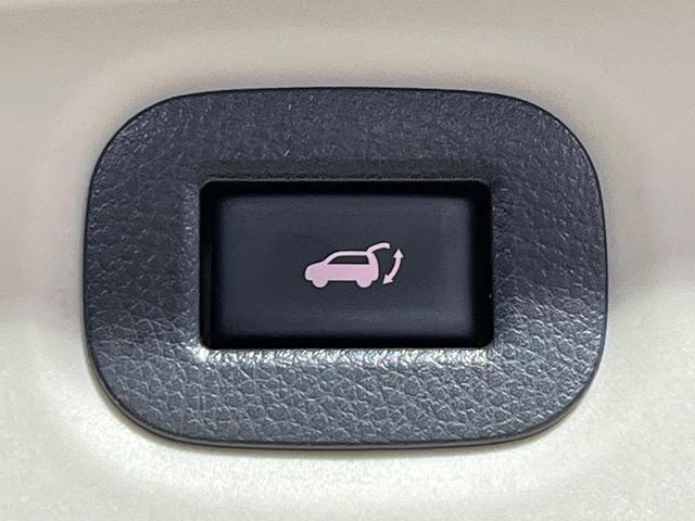 エクストレイル ２０Ｘｉ　４ＷＤ　禁煙車　衝突軽減　プロパイロット　パワーバックドア　ＳＤナビ　全周囲カメラ　ドラレコ　デジタルインナーミラー　ＥＴＣ　Ｂｌｕｅｔｏｏｔｈ　ＬＥＤヘッドライト　オートライト　オートエアコン（39枚目）