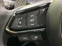 ＸＤ　スポーツアピアランス　４ＷＤ　禁煙車　衝突軽減　ターボ　１０．２５型マツダコネクトナビ　全周囲カメラ　レーダークルーズコントロール　パワーバックドア　ＥＴＣ　ドラレコ　パワーシート　ＬＥＤヘッドライト　クリアランスソナー（67枚目）