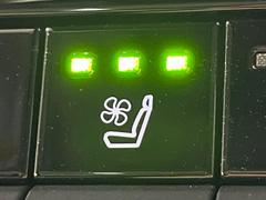 ڥȥ٥졼۲ƾäǤǮɤߤϥ᤯ޤäƥݥݥˡ鷺Ŭ˲ᤴޤ 7