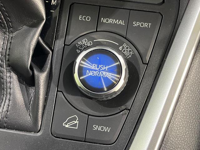 ＲＡＶ４ アドベンチャー　４ＷＤ　パノラマルーフ　純正９型ＳＤナビ　バックカメラ　寒冷地仕様　セーフティセンス　レーダークルーズ　禁煙車　合皮シート　前席シートエアコン　パワーシート　スマートキー　ＬＥＤヘッド　ＥＴＣ（38枚目）