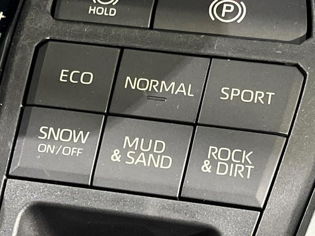 RAV4 G 4WD 純正SDナビ バックカメラ トヨタセーフティセンス レーダークルーズ 禁煙車 電動リアゲート パワーシート ドラレコ コーナーセンサー スマートキー LEDヘッド ビルトインETC(45枚目)