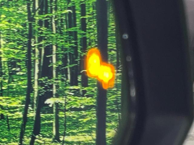 RAV4 G 4WD 純正SDナビ バックカメラ トヨタセーフティセンス レーダークルーズ 禁煙車 電動リアゲート パワーシート ドラレコ コーナーセンサー スマートキー LEDヘッド ビルトインETC(67枚目)