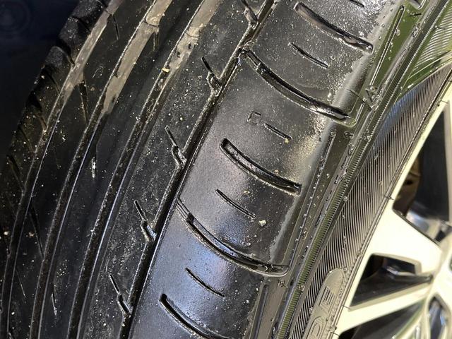 エルグランド 250ハイウェイスターS 4WD 両側電動スライド サイバーナビ フリップダウン バックカメラ インテリジェントエマージェンシーブレーキ 禁煙車 ハーフレザーシート クリアランスソナー スマートキー LEDヘッド ETC(62枚目)