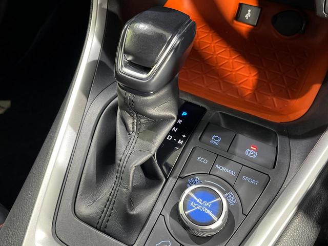 RAV4 アドベンチャー 4WD 9型ディスプレイオーディオ バックカメラ セーフティセンス レーダークルーズ 合皮シート パワーシート ドラレコ コーナーセンサー スマートキー LEDヘッド ETC オートマチックハイビーム(25枚目)