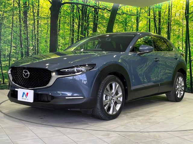 ＣＸ－３０ ２０Ｓ　プロアクティブ　ツーリングセレクション　４ＷＤ　８．８型マツダコネクトナビ　全周囲カメラ　ＢＯＳＥサウンドシステム　スマートブレーキサポート　レーダークルーズ　禁煙車　パワーバックドア　前席シートヒーター　パワーシート　ドラレコ　ＥＴＣ（53枚目）
