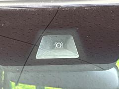 �ڥۥ�����󥷥󥰡�������������μ�ξ����ǧ���������ͤ������ʻ��Ϸ���ȥ֥졼���Ǿ��Ͳ�����ﳲ�ڸ��򥢥����ȡ��������˥ɥ饤�֤򤪳ڤ��ߤ��������ޤ��� 6