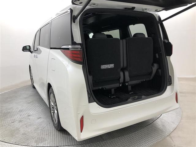 アルファード Z 衝突被害軽減システム ナビ&TV 後席モニター バックカメラ ETC アルミホイール 両側電動スライド 乗車定員7人 オートクルーズコントロール LEDヘッドランプ ワンオーナー(11枚目)