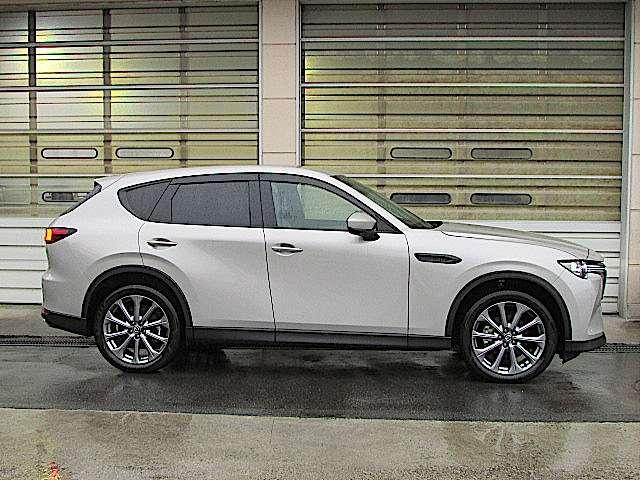 �v���`�i�N�H�[�c�̋P���B����Ȗʂ����������͂̎�����D������܂��B�o���������������@�p�����������@�����������D�@�k���������@�����@�����������@�����������������@���������������@�������@���������D