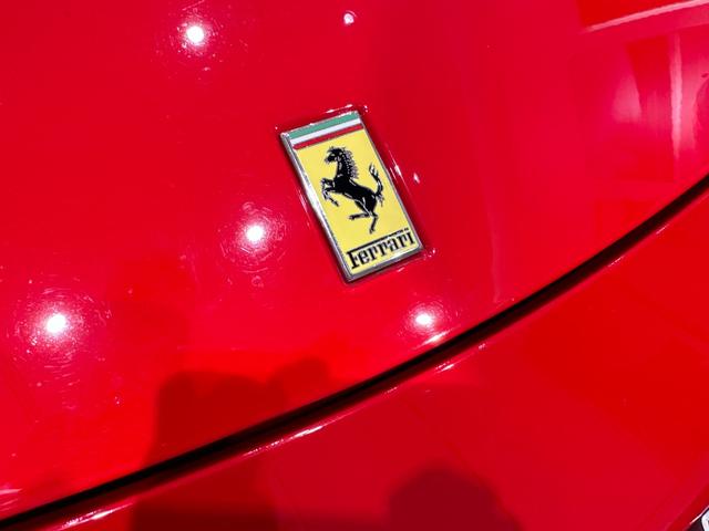 ４５８イタリア ベースグレード　Ｄ車　スクーデイリアフェラーリエンブレム　レッドカラーレブカウンター　ルーフトリムレザー　トリム同色インナートリム　自動防眩式室内＆ドアミラー　レッドブレーキキャリパー　ドライブレコーダー（13枚目）