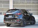 特別装備：２２５／５５Ｒ１９タイヤ・１９インチアルミホイール（ブラックメタリック塗装）（Ｓｐｏｒｔｓ　Ａｐｐｅａｒａｎｃｅ専用）・シグネチャーウイング（ブラッククローム）