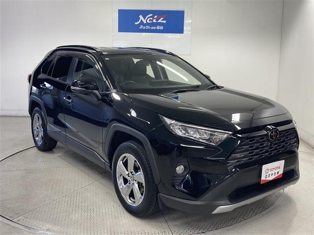 ＲＡＶ４ Ｇ　４ＷＤ　メモリーナビ　ミュージックプレイヤー接続可　バックカメラ　衝突被害軽減システム　ＥＴＣ　ＬＥＤヘッドランプ　ワンオーナー（9枚目）