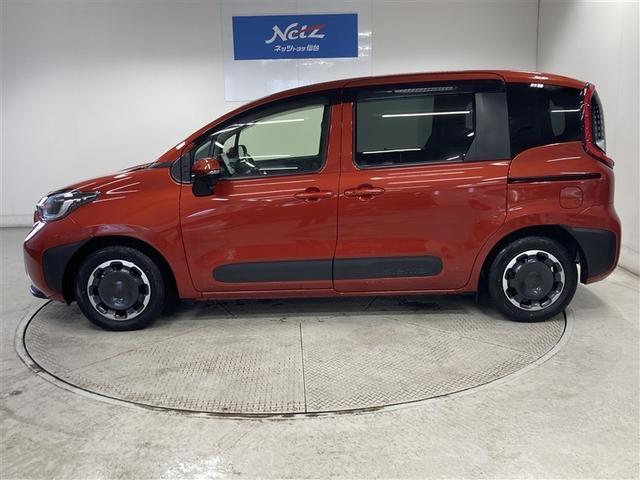 ���x�����T�C�Y�Ől�C�̂���V�G���^�ł��B