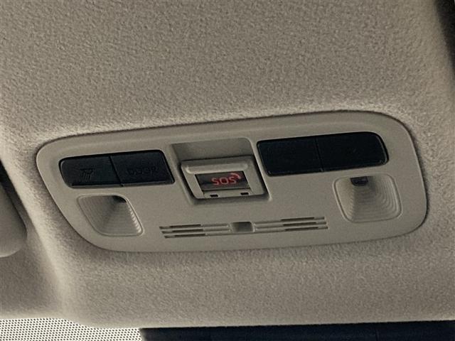 �����͂������A�\������邭�Ƃ炵�܂��B