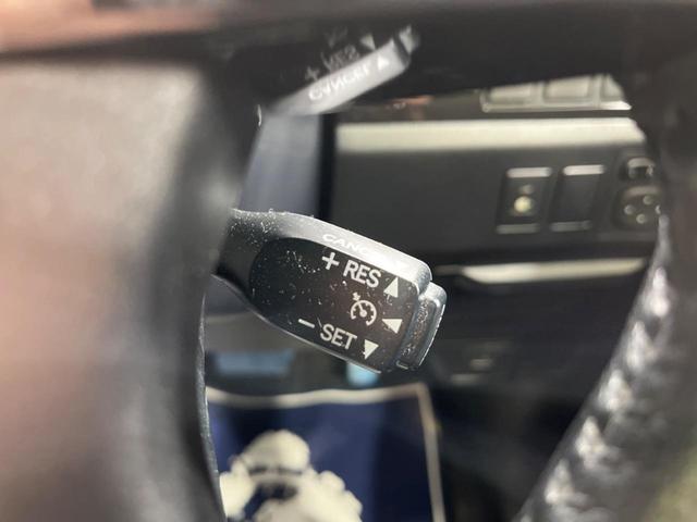 アエラス ベリーエディション 純正HDDナビ フルセグ 両側パワスラ 4WD 寒冷地仕様 禁煙車 クルーズコントロール HIDヘッド オートライト&エアコン バックカメラ ETC 電動格納ドアミラー 横滑り防止システム(8枚目)