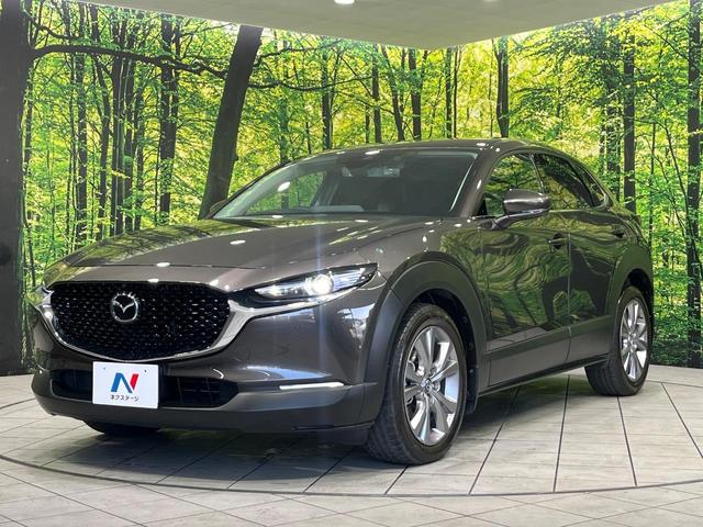 ＣＸ－３０ ＸＤ　プロアクティブ　ツーリングセレクション　４ＷＤ　ターボ　純正８．８型ナビ　全周囲カメラ　スマートブレーキサポート　レーダークルーズ　パワーバックドア　前席シートヒーター　パワーシート　パーキングセンサー　スマートキー　ＬＥＤヘッド　ＥＴＣ（58枚目）