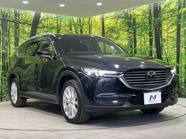 ＣＸ－８ ＸＤプロアクティブ　４ＷＤ　純正ナビ　ターボ　７人乗り　全周囲カメラ　衝突被害軽減装置　レーダークルーズ　禁煙車　電動リアゲート　パワーシート　ドラレコ　コーナーセンサー　スマートキー　ＬＥＤヘッド　ルーフレール（16枚目）