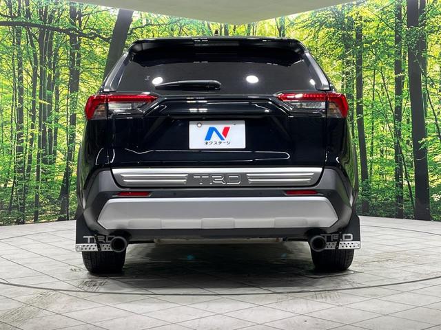 RAV4 ハイブリッドアドベンチャー 4WD TRDエアロ 純正10.5型ナビ 全方位カメラ 寒冷地仕様 パワーバックドア デジタルインナーミラー BSM セーフティセンス レーダークルーズ シートヒーター シートベンチレーション 禁煙車(17枚目)