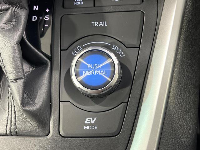 RAV4 ハイブリッドアドベンチャー 4WD TRDエアロ 純正10.5型ナビ 全方位カメラ 寒冷地仕様 パワーバックドア デジタルインナーミラー BSM セーフティセンス レーダークルーズ シートヒーター シートベンチレーション 禁煙車(50枚目)