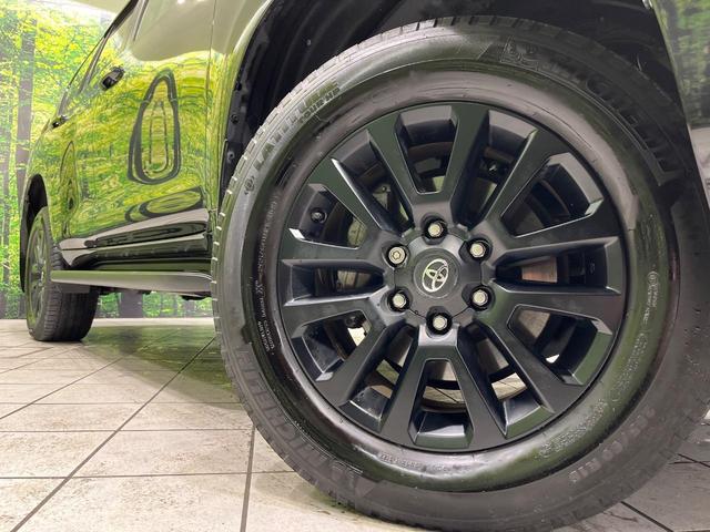 ランドクルーザープラド ＴＸ　Ｌパッケージ　マットブラックエディション　４ＷＤ　サンルーフ　９型メーカーナビ　全方位カメラ　７人乗り　ルーフレール　黒革シート　寒冷地仕様　セーフティセンス　ＬＥＤヘッド　レーダークルーズ　ドラレコ　ＥＴＣ　パワーシート　禁煙車（15枚目）