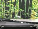 ハイブリッドＸＳ　４ＷＤ　届出済未使用車　２トーンカラー　両側電動スライド　セーフティサポート　アダプティブクルーズ　シートヒーター　ステアリングヒーター　ＬＥＤヘッド　スマートキー　オートマチックハイビーム（54枚目）