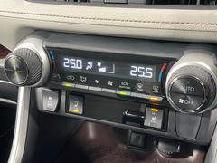 �ڥ����ȥҡ������۴������˽������륷���ȥҡ������������������᤯���ޤäƤ����ΤǴ�����οͤ�¿��Ǥ��͢���������β����ϴ��礹�뤫���ꡢ�Ȥ������ˤ�򤪤�����Ǥ��� 6