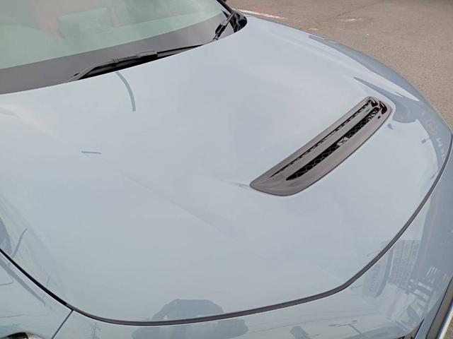 シビック タイプR 1オーナー エアロダイナミクス 専用リアスポイラー/シート/ステアリング ホンダセンシング レーダークルコン 純正コネクトディスプレイナビTV Bカメラ ブレンボ製キャリパー トリプルマフラー(12枚目)