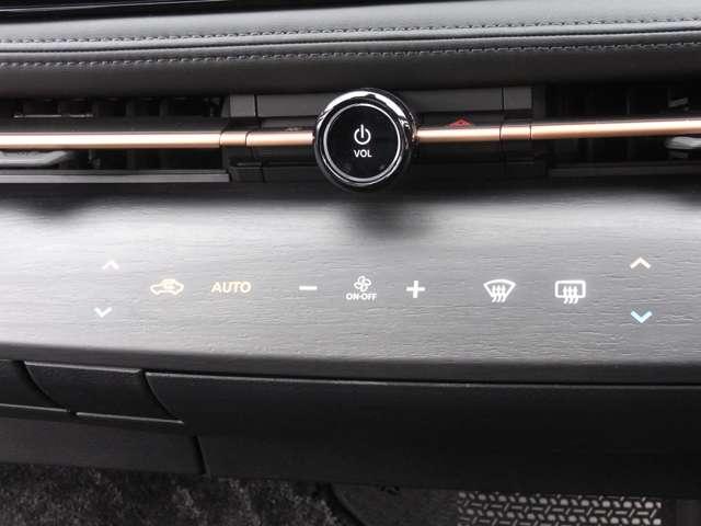 アリア B9 e-4ORCE 4WD ・試乗車UP ・メーカーOP(33枚目)