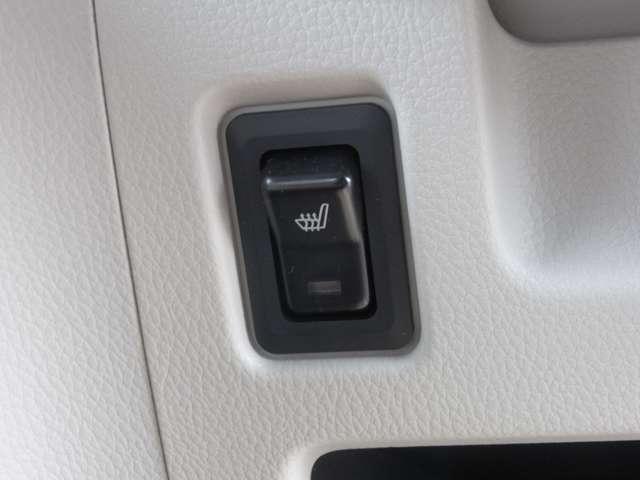 デイズルークス 660 X ・ディーラーOP(16枚目)