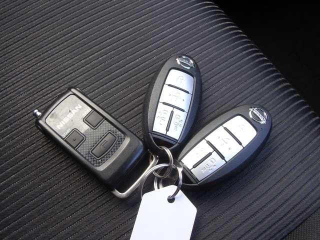 セレナ ２．０　ハイウェイスター　ＶセレクションＩＩ　・ディーラーＯＰ（20枚目）