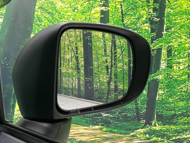 タフト G ガラスルーフ 全周囲カメラ 衝突軽減装置 禁煙車 ディスプレイオーディオ 前後ドラレコ ETC レーンキープ コーナーセンサー スマートキー LEDヘッド&フォグ オートハイビーム 誤発進抑制機能(51枚目)