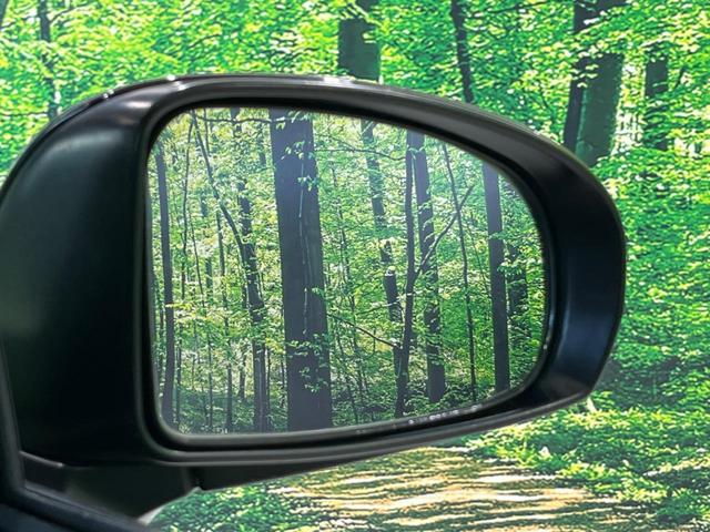 プリウス S 純正ナビ バックカメラ スマートキー ドラレコ ETC 15インチAW HIDヘッド オートライト オートエアコン Bluetooth フルセグ CD DVD再生 ステアリングスイッチ フォグライト(53枚目)