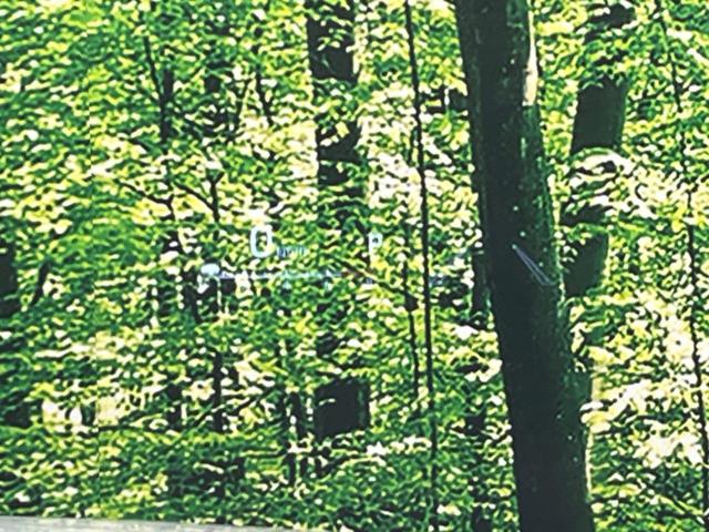 ハリアー Ｚ　純正１２．３型ナビ　バックカメラ　ＪＢＬサウンド　衝突軽減装置　レーダークルーズ　禁煙車　ブラインドスポットモニター　パワーバックドア　ハーフレザーシート　パワーシート　ドラレコ　ＥＴＣ２．０（37枚目）